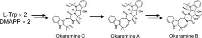 Metabolome Analysis Identified Okaramines in the Soybean Rhizosphere as a Legacy of Hairy Vetch